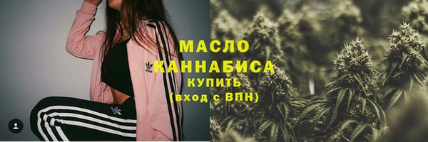 индика Наволоки