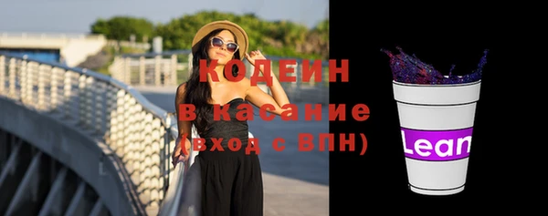 индика Наволоки