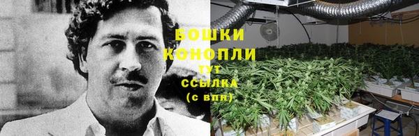 индика Наволоки
