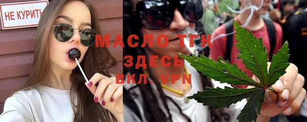 индика Наволоки