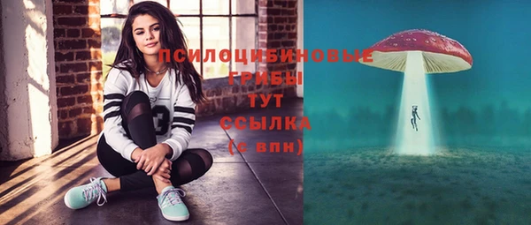 мдпв Навашино