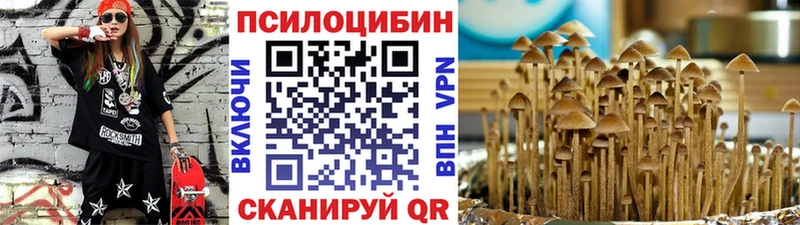 Псилоцибиновые грибы MAGIC MUSHROOMS  blacksprut tor  Нерехта 